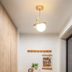 Creative Mini LED Ceiling Lamp for Living Room Elegance