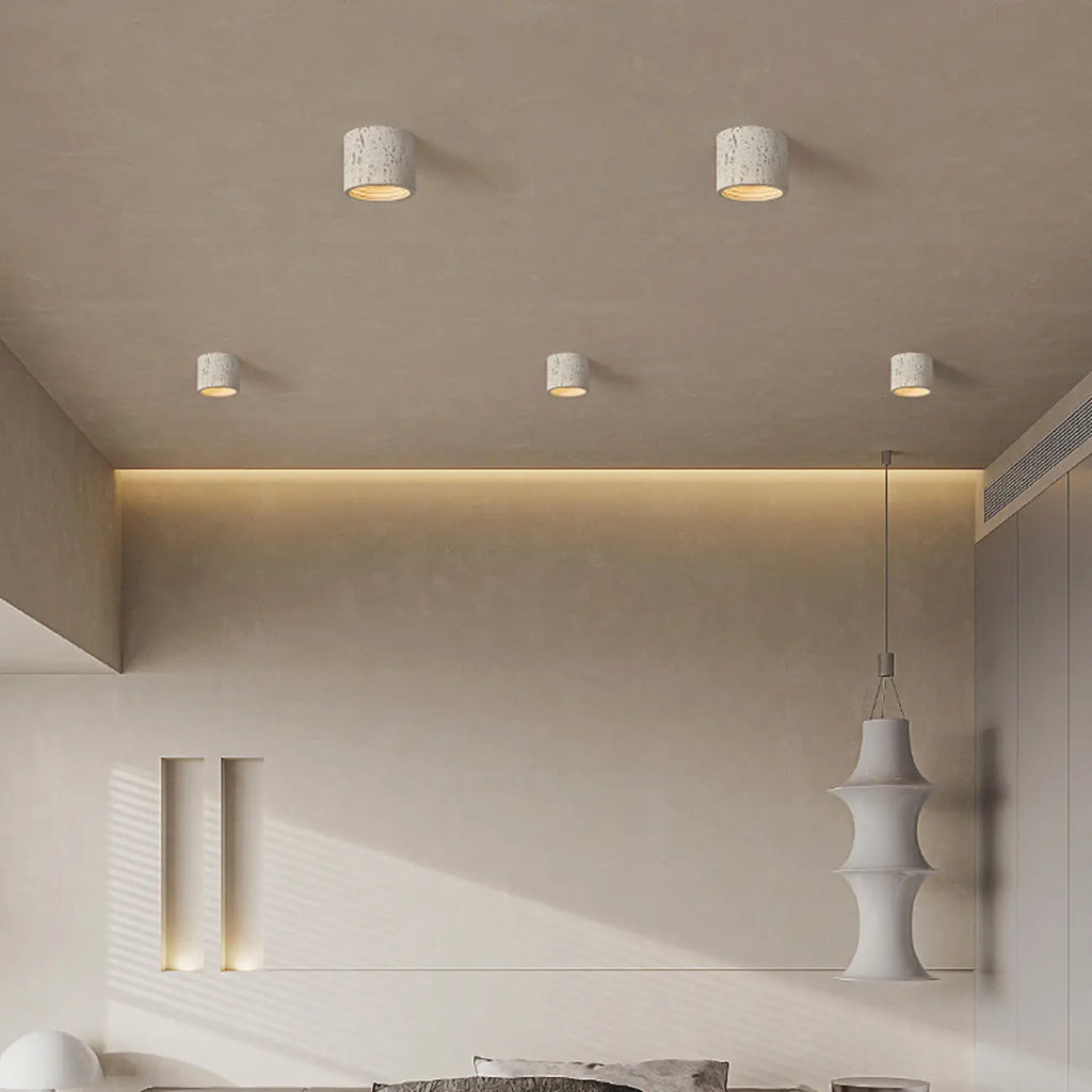 Dimmable Cylinder Flush Mount Ceiling Light for Indoor Use
