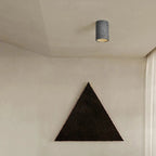 Dimmable Cylinder Flush Mount Ceiling Light for Indoor Use