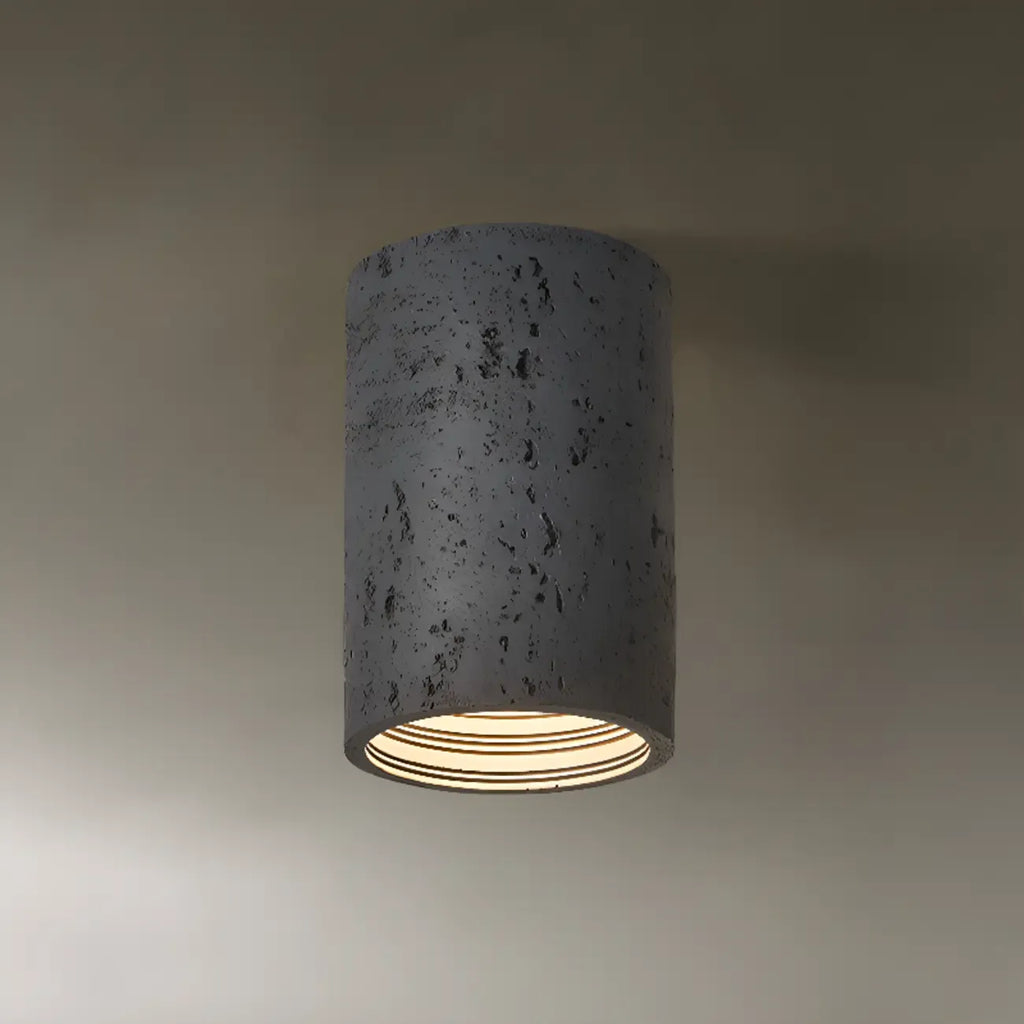 Dimmable Cylinder Flush Mount Ceiling Light for Indoor Use