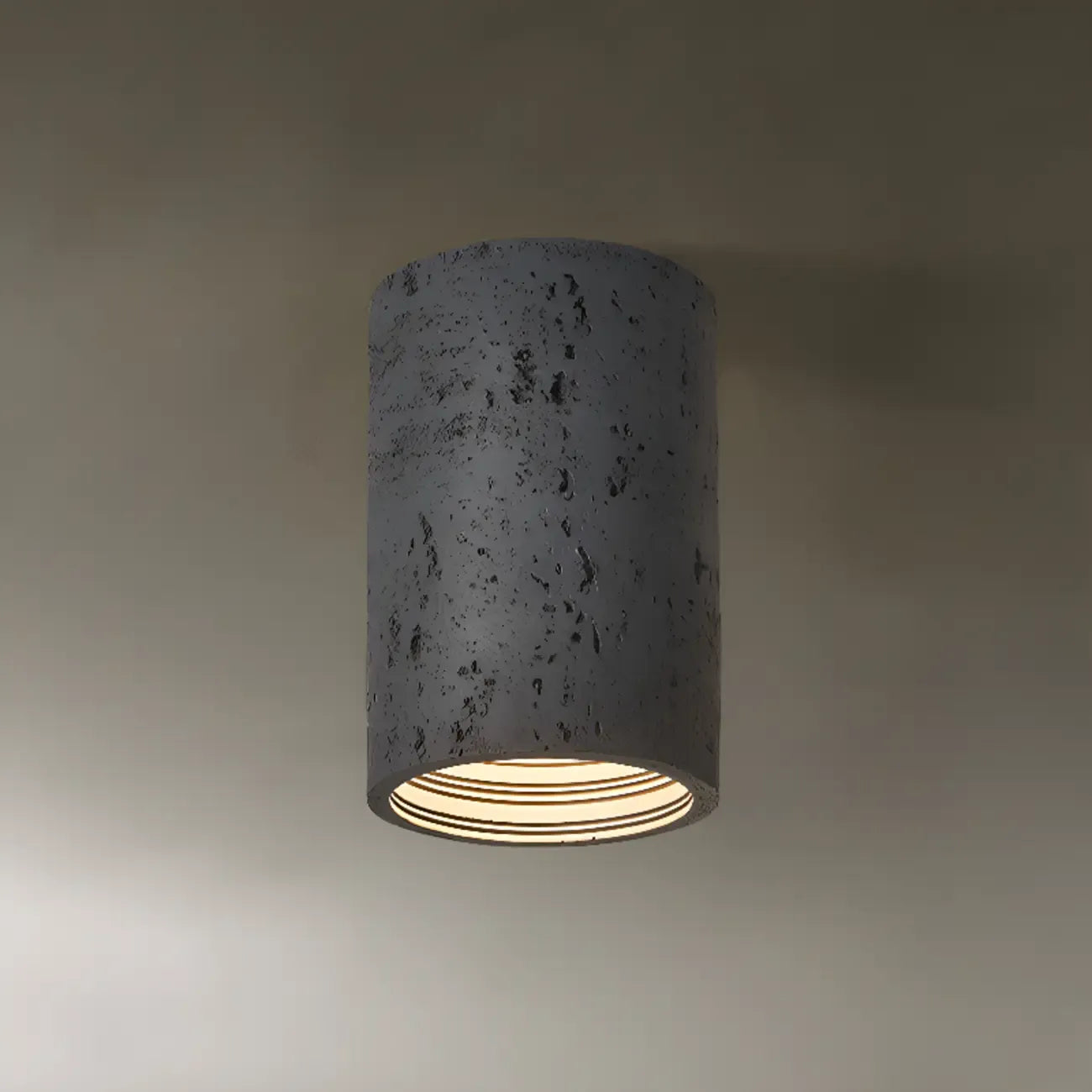 Dimmable Cylinder Flush Mount Ceiling Light for Indoor Use