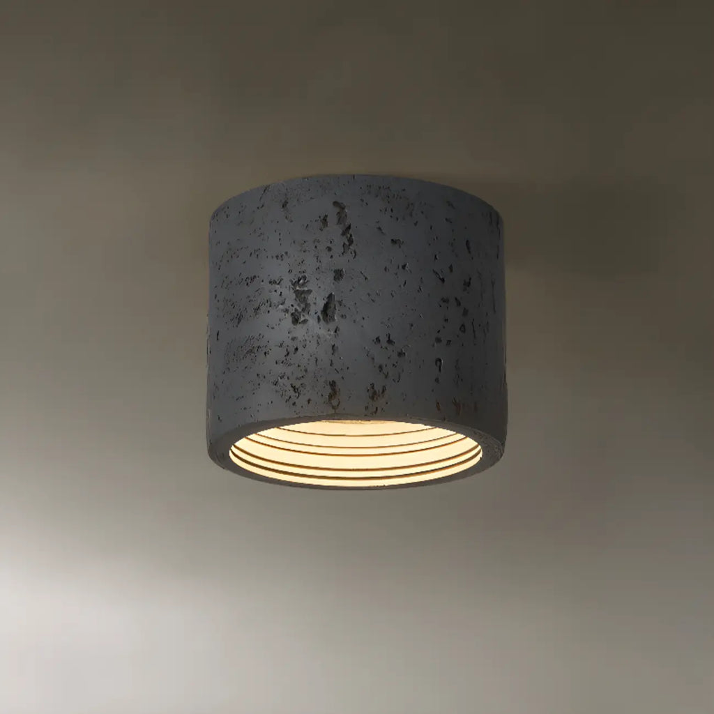 Dimmable Cylinder Flush Mount Ceiling Light for Indoor Use
