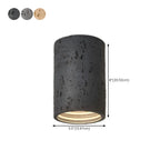 Dimmable Cylinder Flush Mount Ceiling Light for Indoor Use