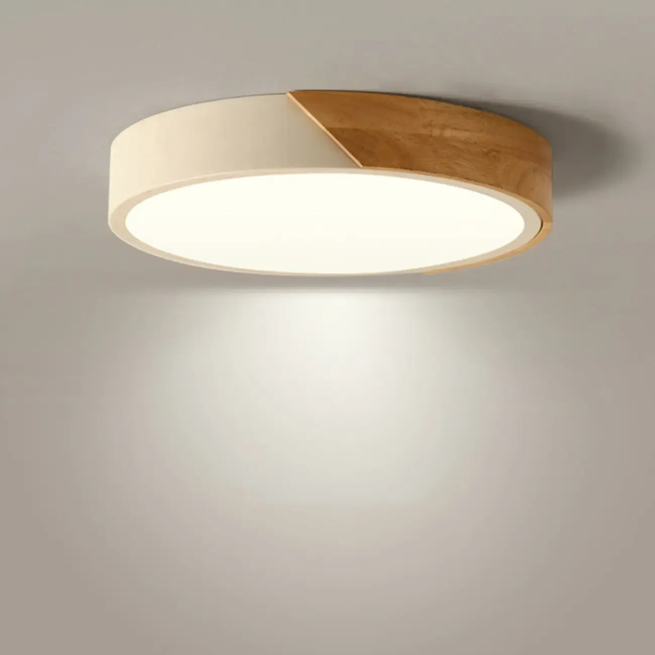 Circular Flush Mount LED Ceiling Light for Residential Use