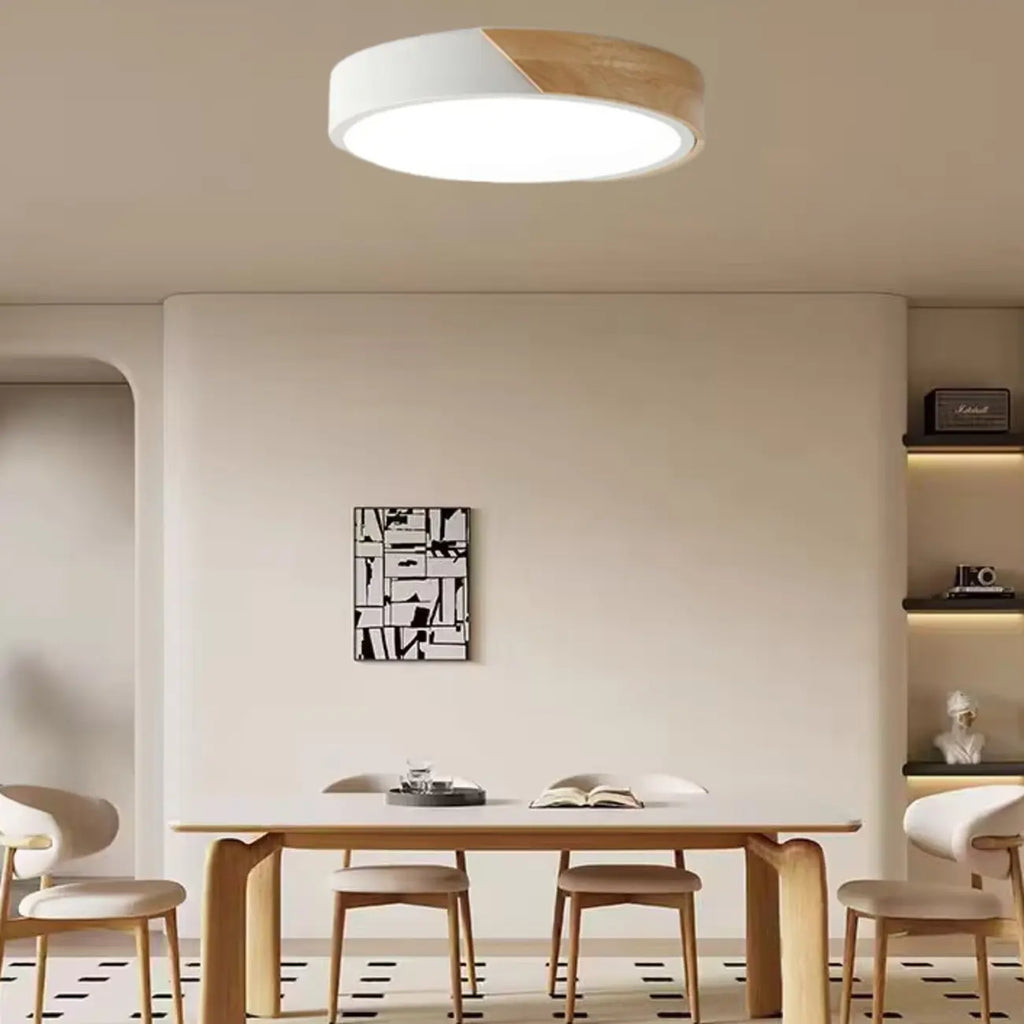 Circular Flush Mount LED Ceiling Light for Residential Use