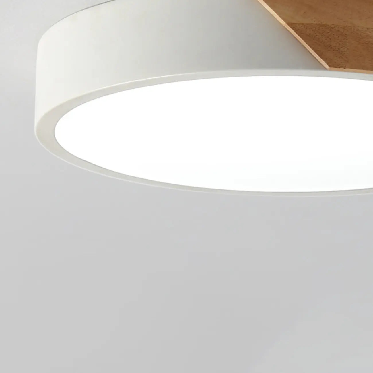Circular Flush Mount LED Ceiling Light for Residential Use