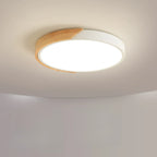 2Modern Circular Flush Ceiling Light for Residential Use