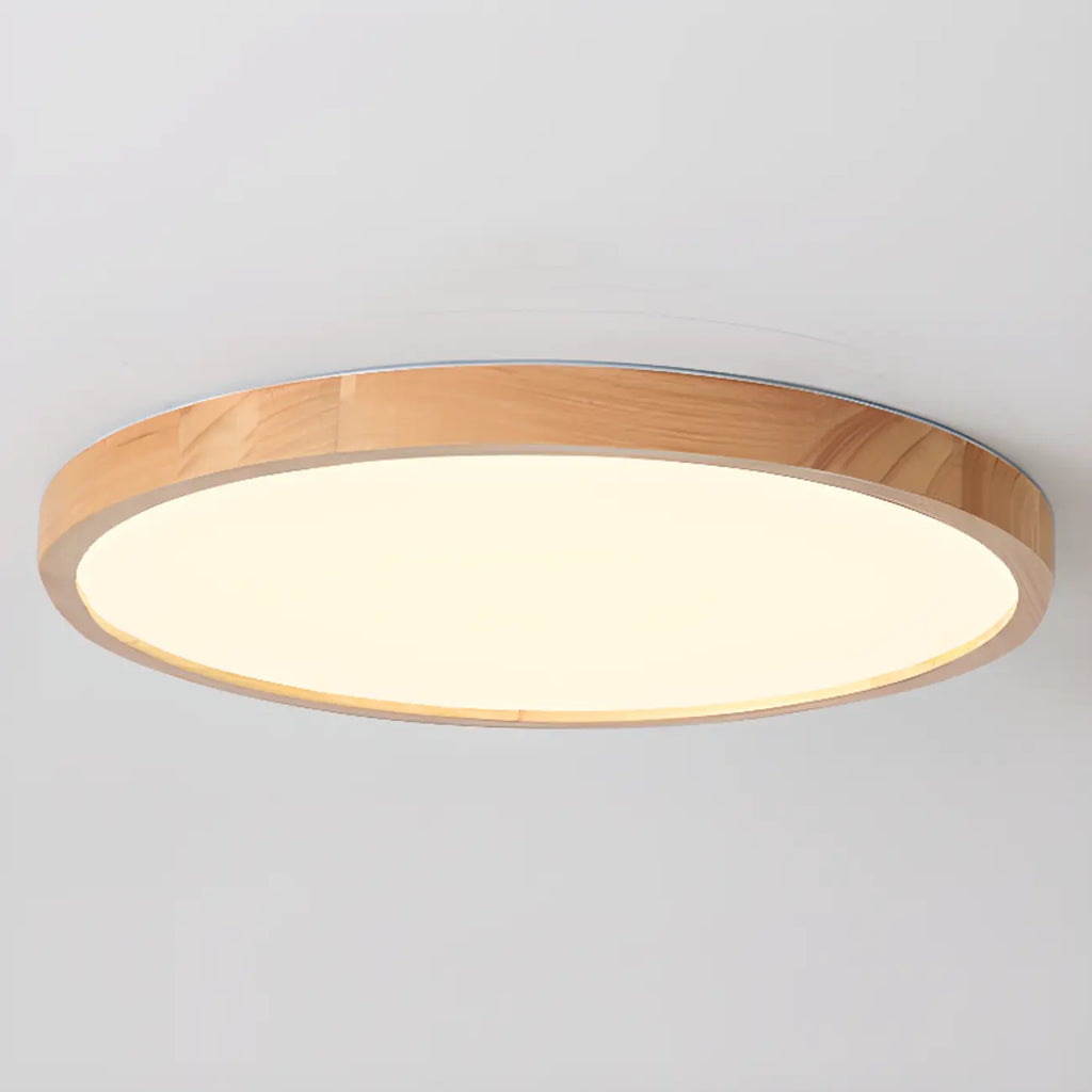Circular Flush Mount Ceiling Light for Residential Spaces