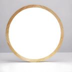 Circular Flush Mount Ceiling Light for Residential Spaces
