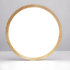 Circular Flush Mount Ceiling Light for Residential Spaces