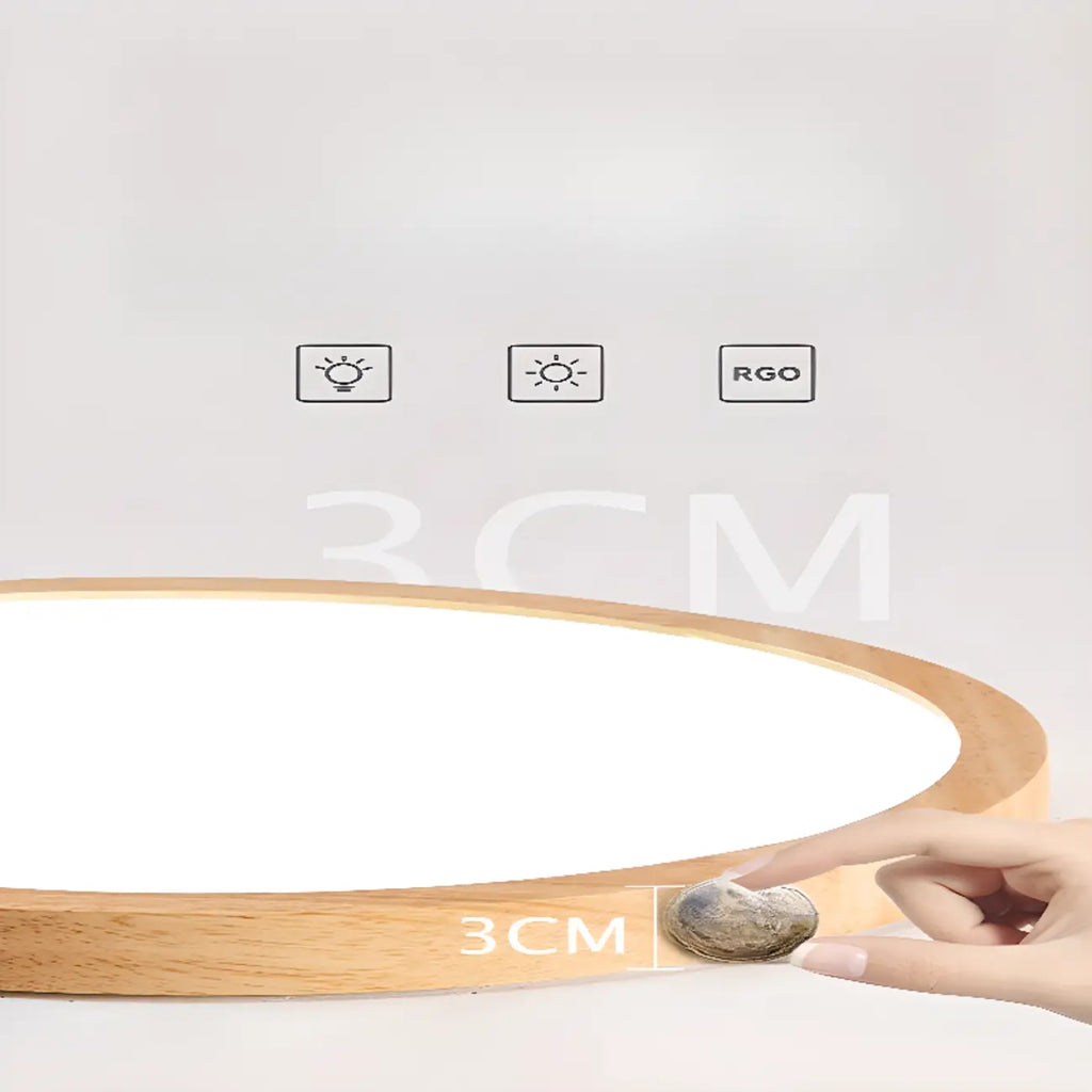 Circular Flush Mount Ceiling Light for Residential Spaces
