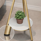 Round Glass Top Gold Metal Side Table with Storage