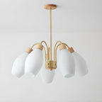 Modern Adjustable White Chandelier with Glass Shades