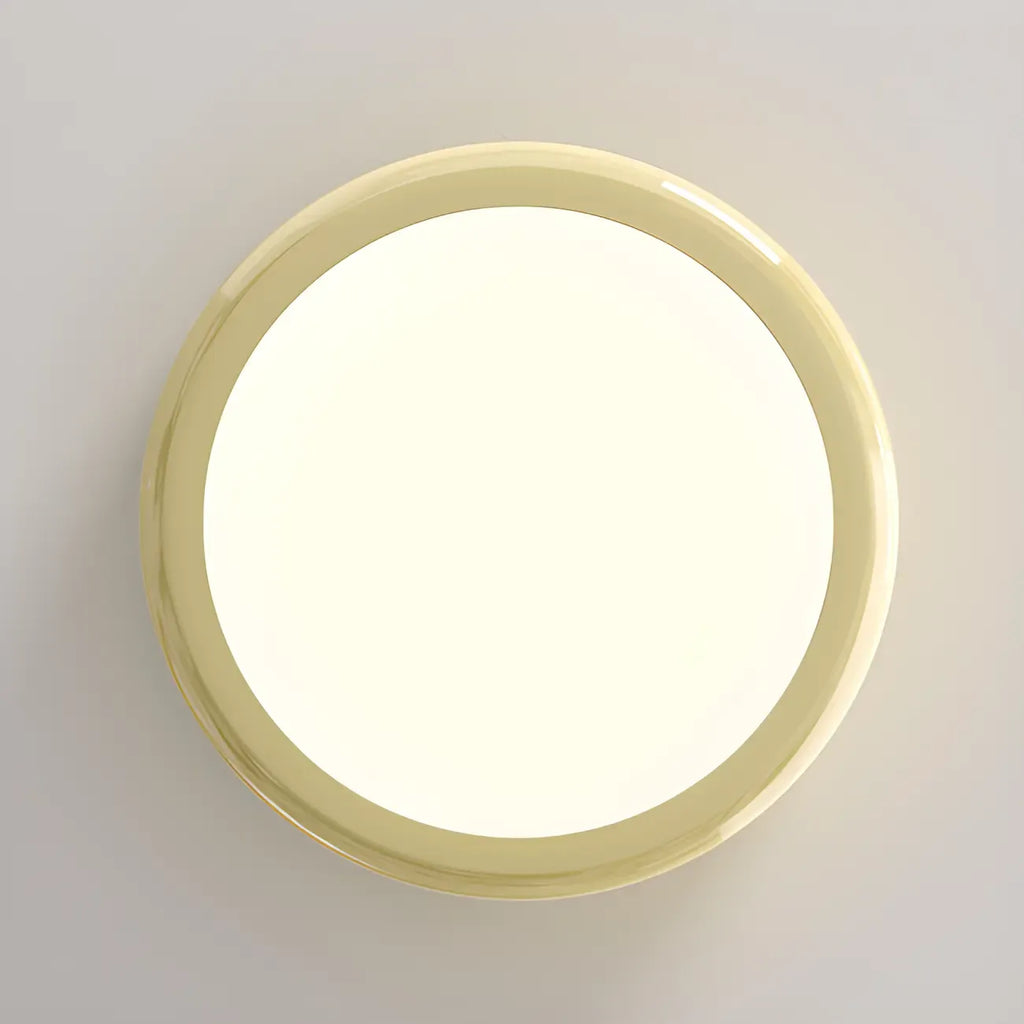 Dimmable Circular Flush LED Ceiling Light for Living Room