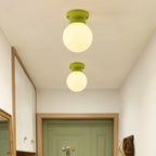 Elegant Flower Shape Ceiling Light for Entrance Illumination