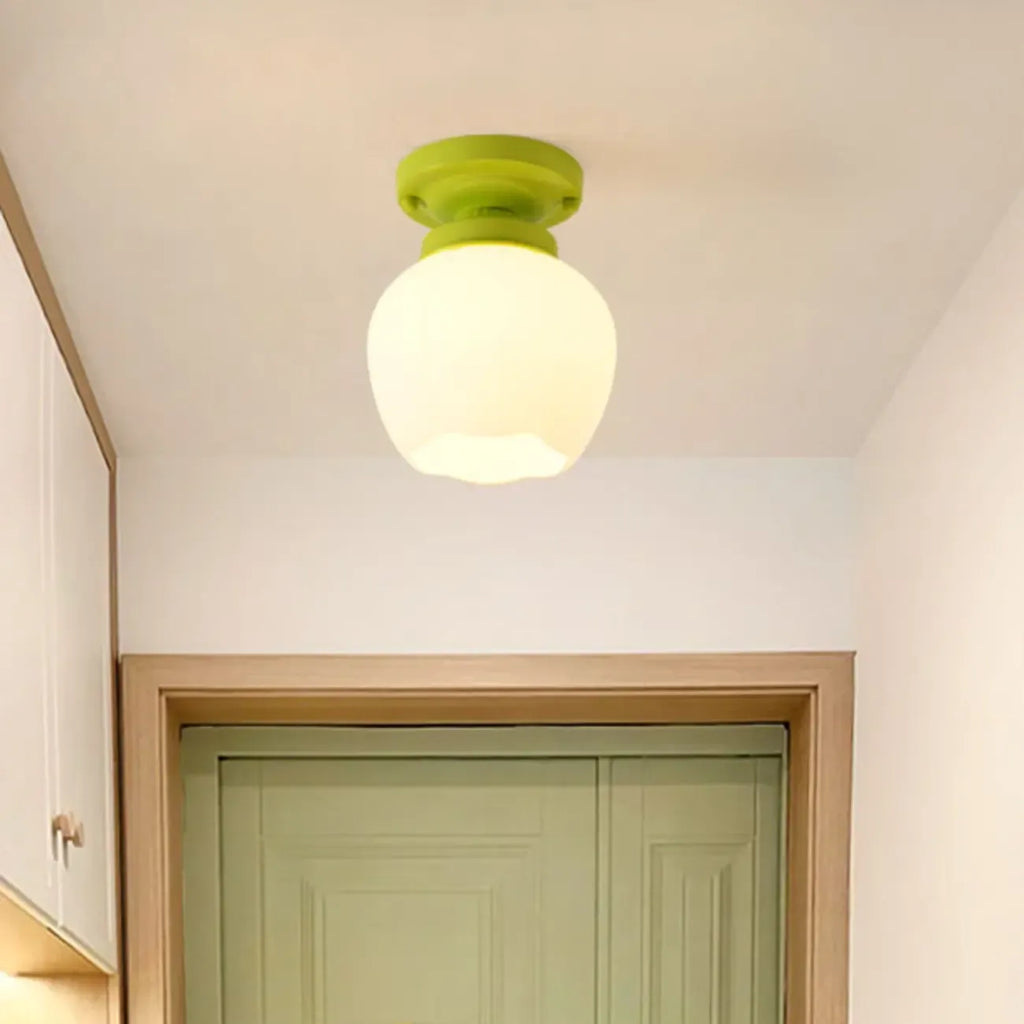 Elegant Flower Shape Ceiling Light for Entrance Illumination