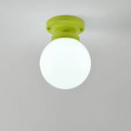 Elegant Flower Shape Ceiling Light for Entrance Illumination