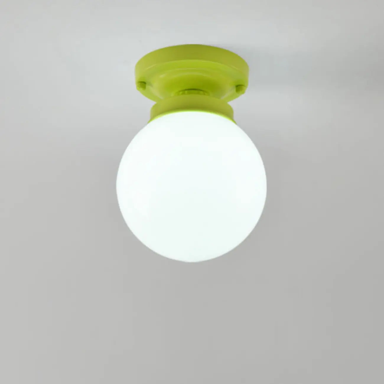 Elegant Flower Shape Ceiling Light for Entrance Illumination