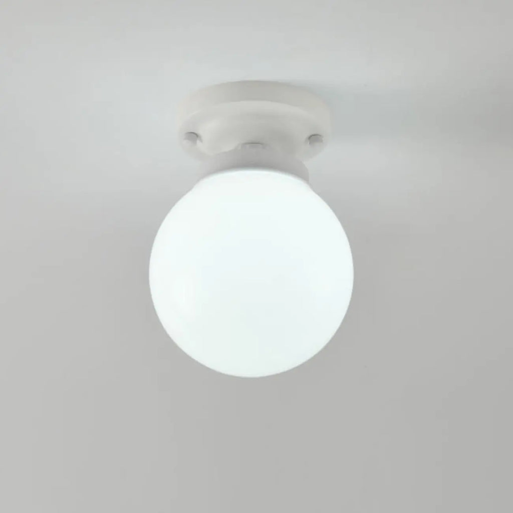 Elegant Flower Shape Ceiling Light for Entrance Illumination