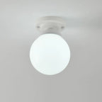 Elegant Flower Shape Ceiling Light for Entrance Illumination