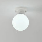 Elegant Flower Shape Ceiling Light for Entrance Illumination