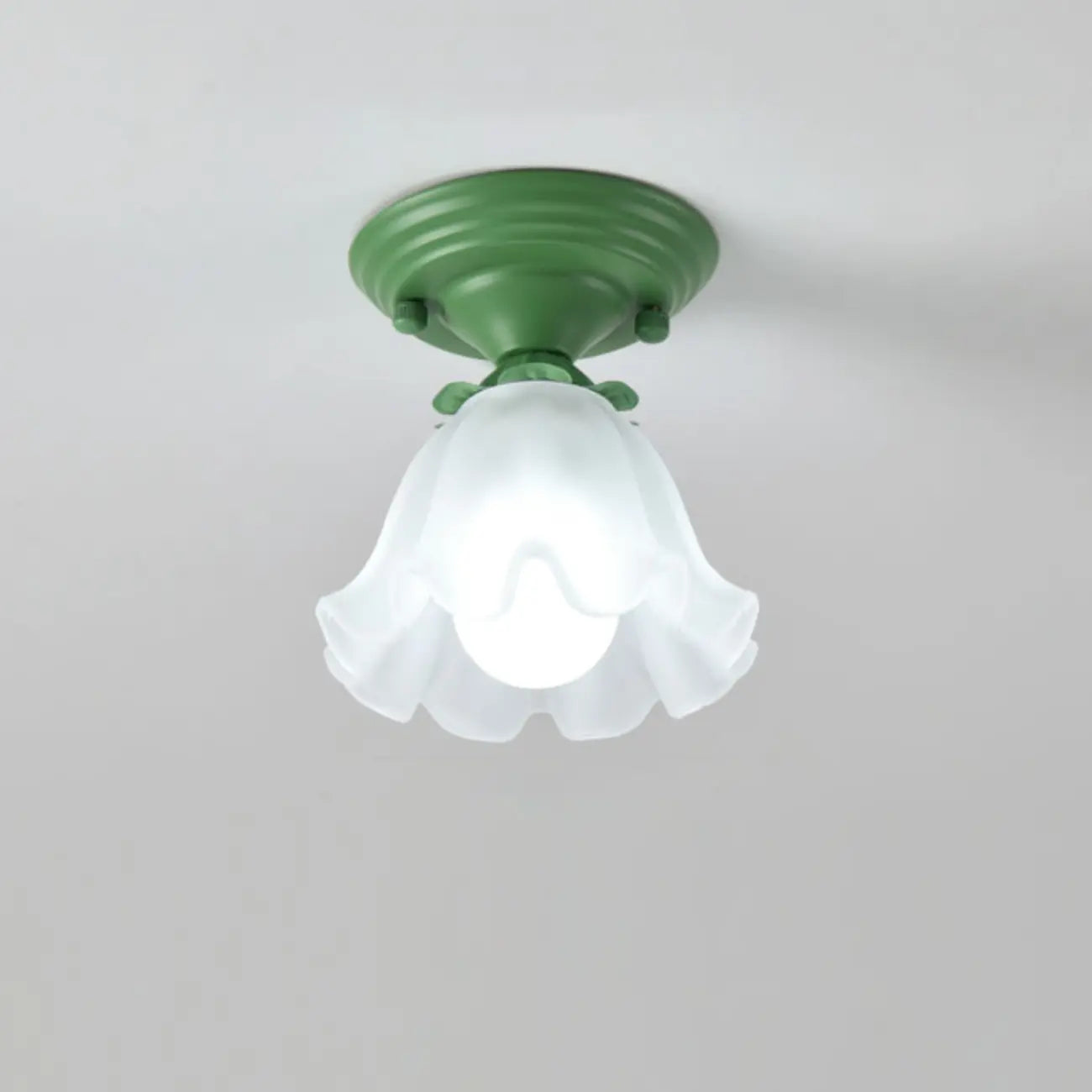 Elegant Flower Shape Ceiling Light for Entrance Illumination