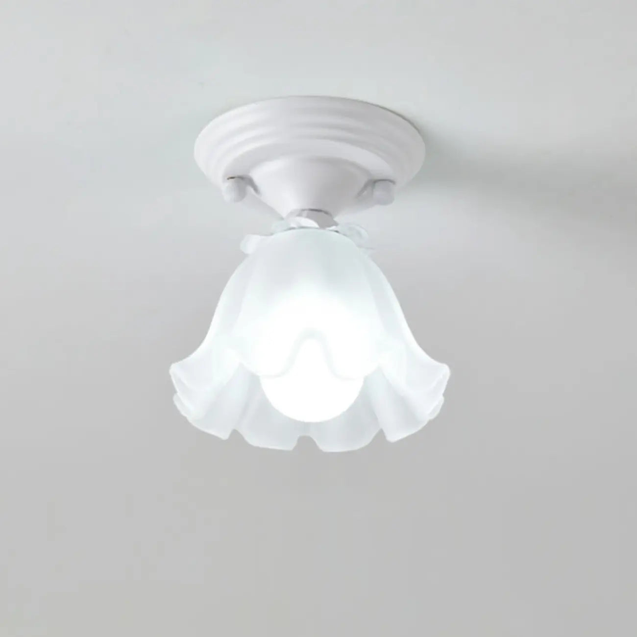 Elegant Flower Shape Ceiling Light for Entrance Illumination