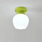 Elegant Flower Shape Ceiling Light for Entrance Illumination
