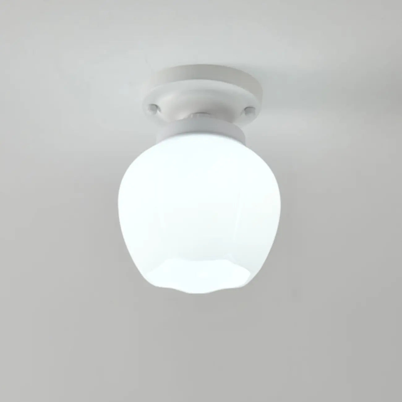 Elegant Flower Shape Ceiling Light for Entrance Illumination