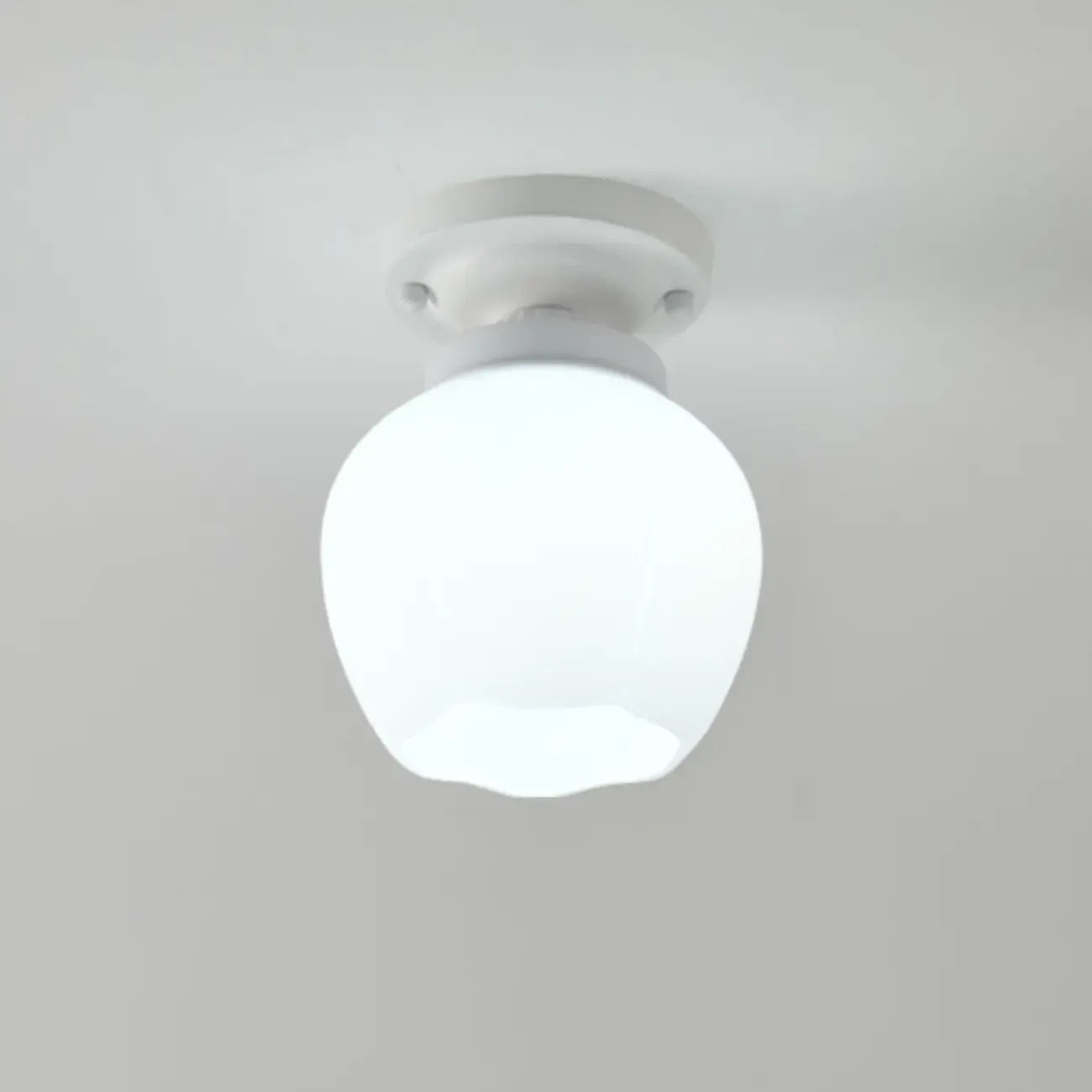 Elegant Flower Shape Ceiling Light for Entrance Illumination