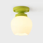 Elegant Flower Shape Ceiling Light for Entrance Illumination