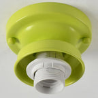 Elegant Flower Shape Ceiling Light for Entrance Illumination