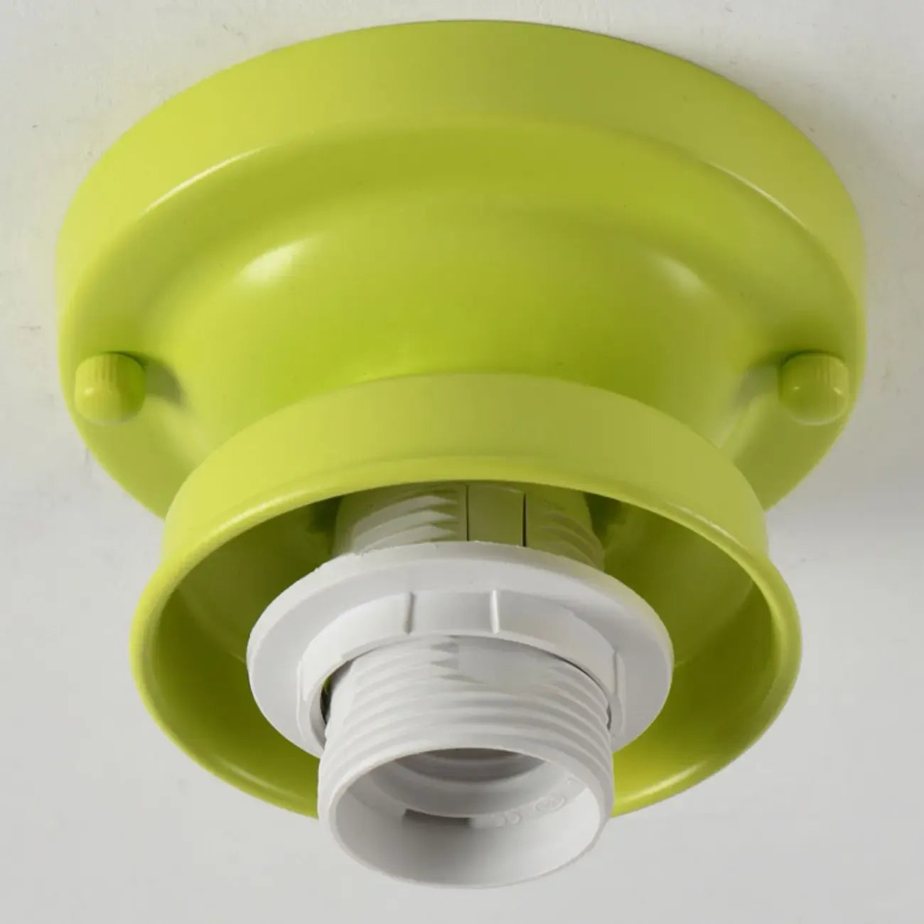 Elegant Flower Shape Ceiling Light for Entrance Illumination