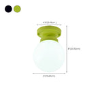 Elegant Flower Shape Ceiling Light for Entrance Illumination
