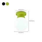 Elegant Flower Shape Ceiling Light for Entrance Illumination