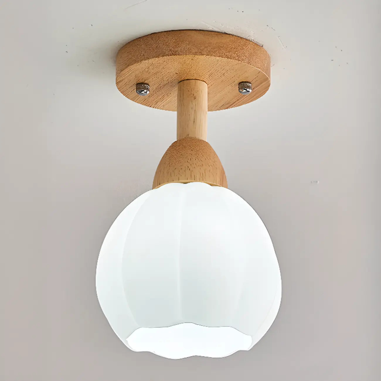 Elegant Single Head LED Ceiling Light for Residential Use