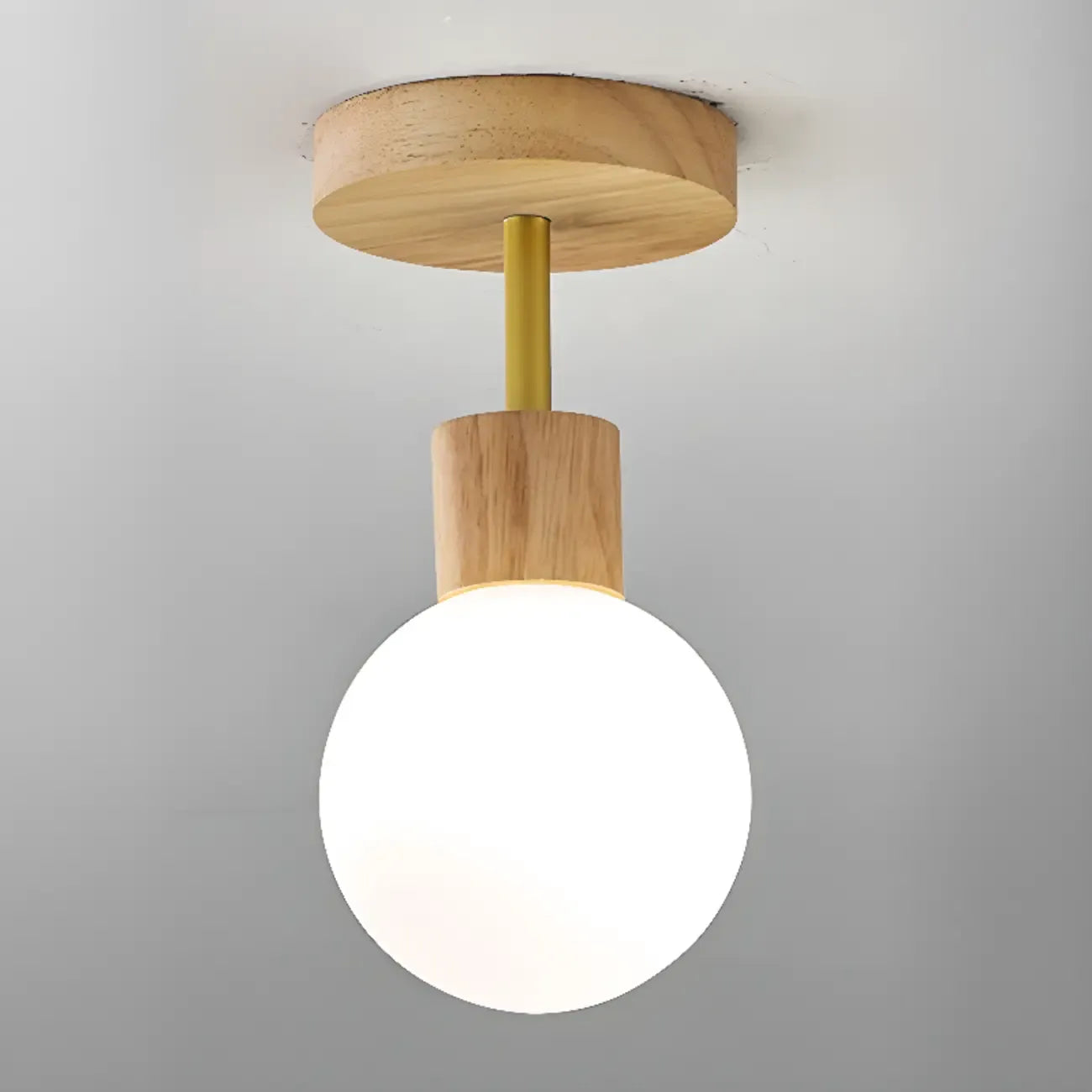 Elegant Single Head LED Ceiling Light for Residential Use