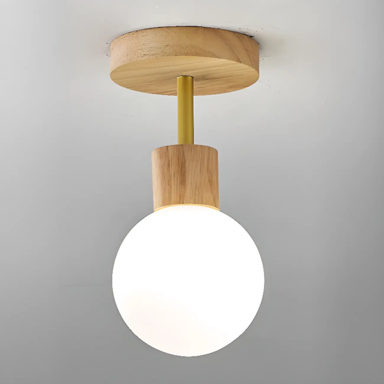 Elegant Single Head LED Ceiling Light for Residential Use