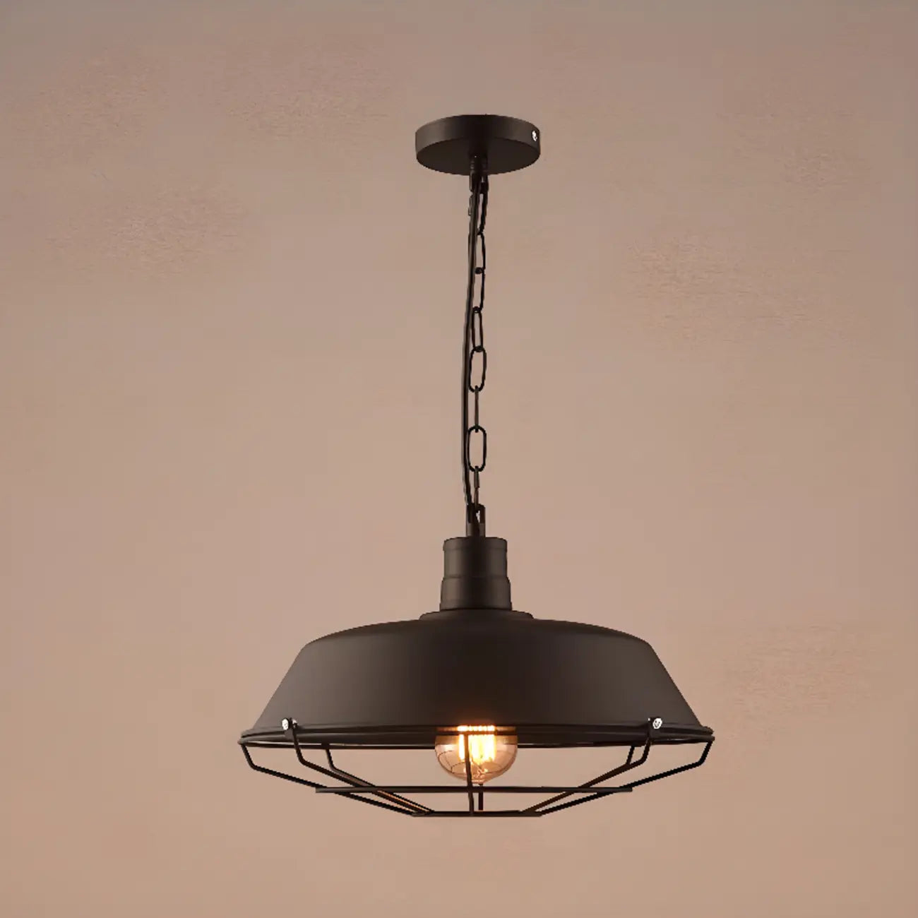 Industrial Adjustable Black Round Pendant light