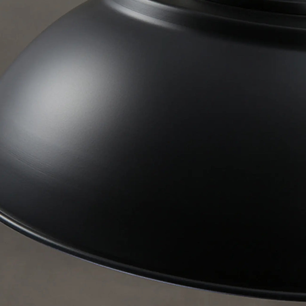 Industrial Adjustable Black Round Pendant light