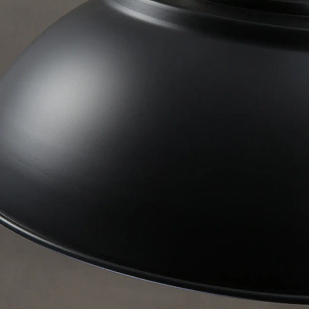Industrial Adjustable Black Round Pendant light