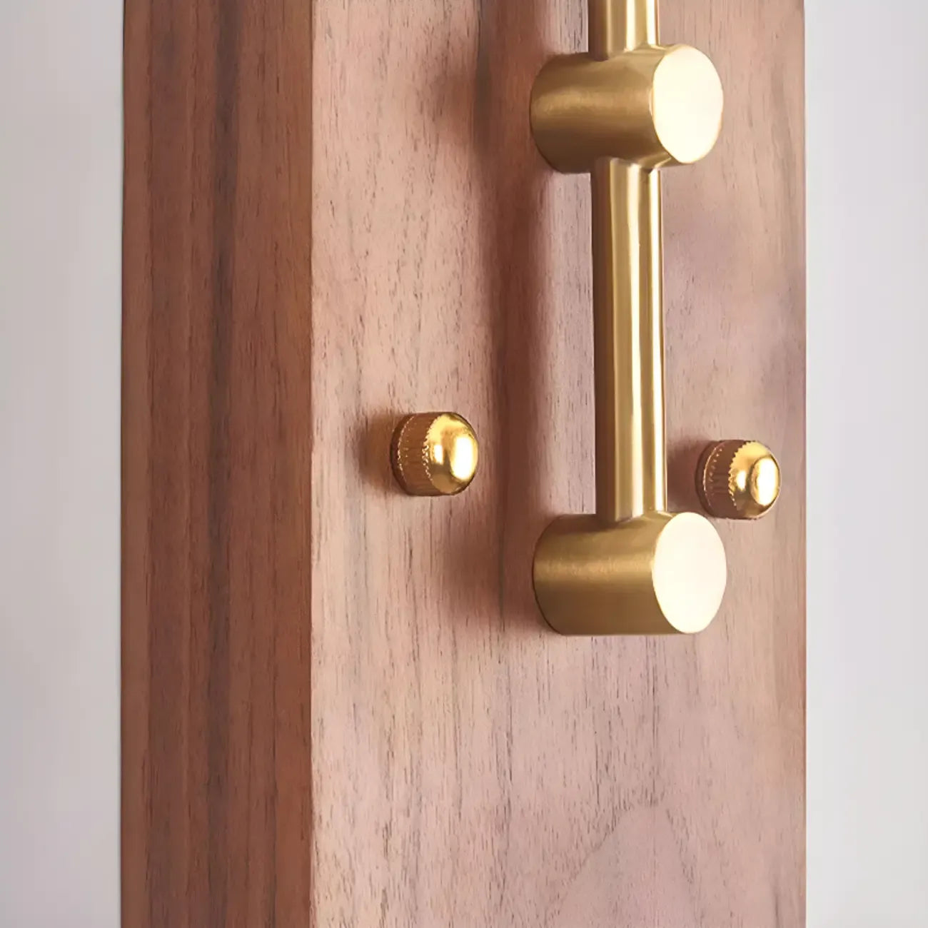 Contemporary Walnut Brass Cone Wall Mounted Light Fixture