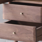 2-Drawer Mid-Century Brown Accent Cabinet with Gass Door