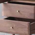 2-Drawer Mid-Century Brown Accent Cabinet with Gass Door