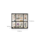 Black Metal Frame Clear Glass Shelf Curio Cabinet