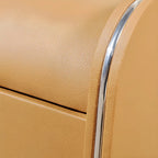 Stylish Narrow Faux Leather Bedside Table with 2 Drawers