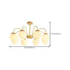 3/5/8-Light Modern Globe Ceiling Chandelier with Glass Shades