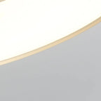 1 Dimmable LED Semi Flush Ceiling Light for Residential Use