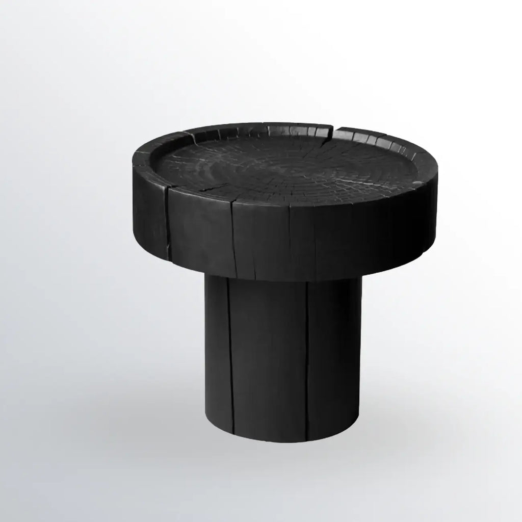 Modern Minimalist Wood Black Coffee Table with Tray Top