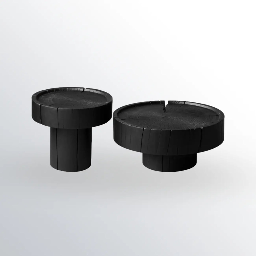 Modern Minimalist Wood Black Coffee Table with Tray Top
